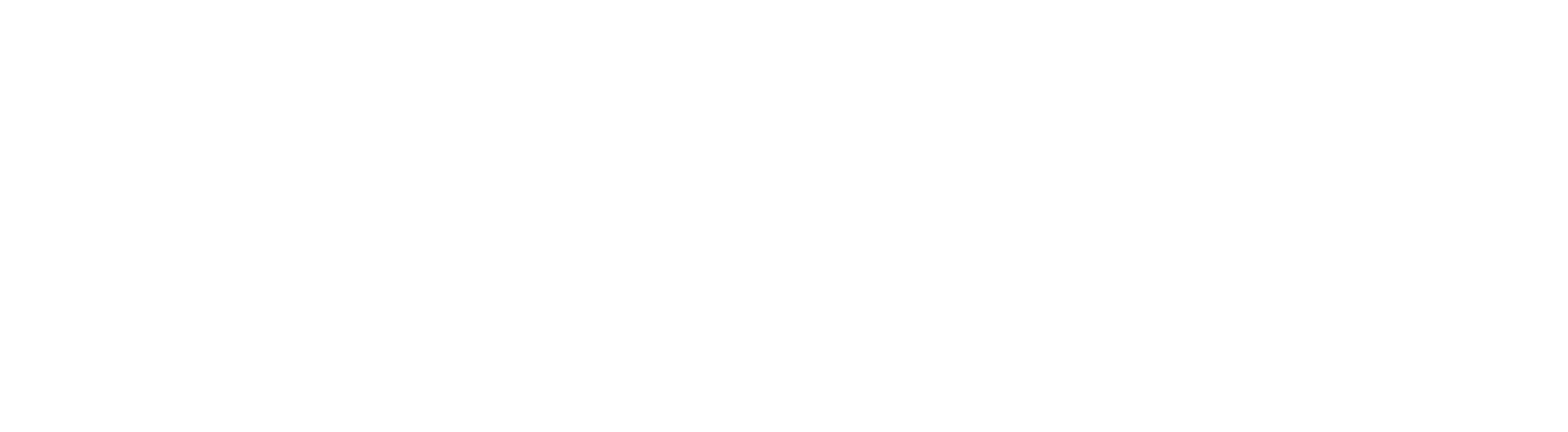 Logo Stadtwerke weiss