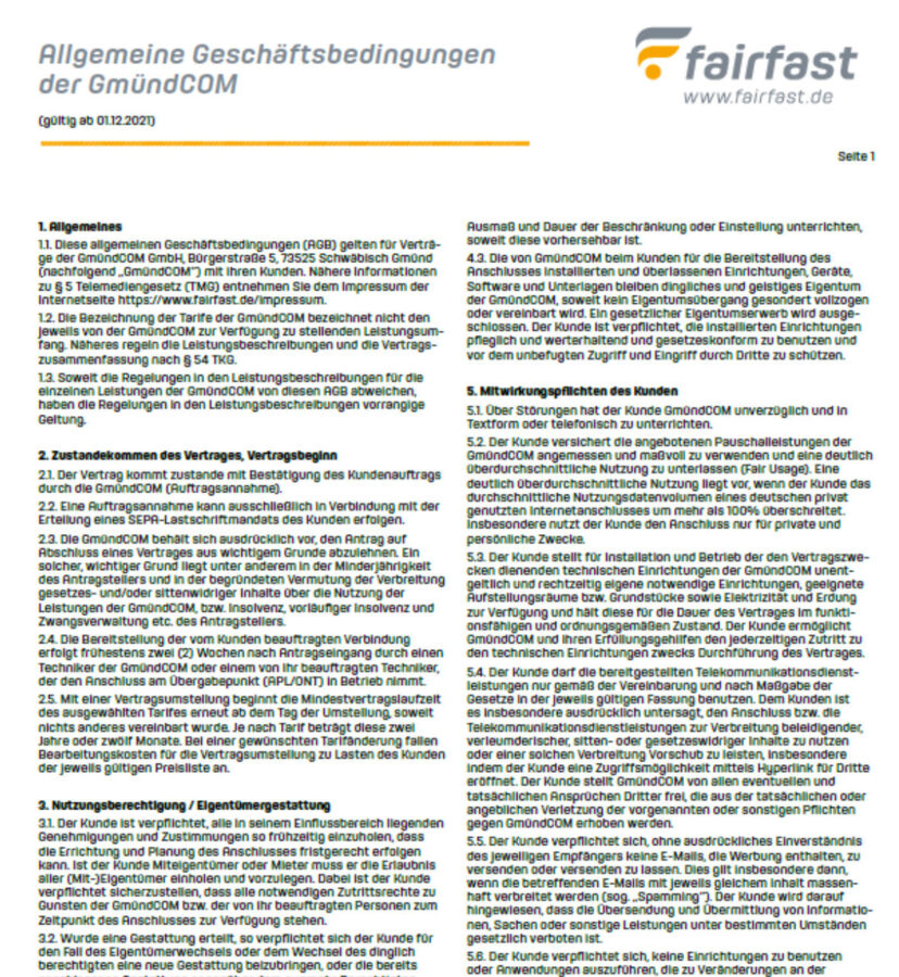 Allgemeine Geschäftsbedigungen